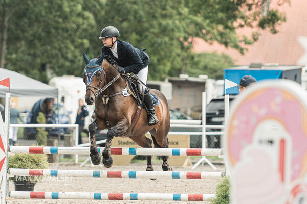 SFT i przyjaciele JUMPING SHOW - ZRiT - WRZESIEŃ 2026 Kozienice