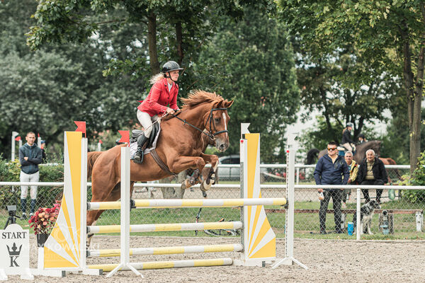SFT i przyjaciele JUMPING SHOW - ZRiT - WRZESIEŃ 2026 Kozienice