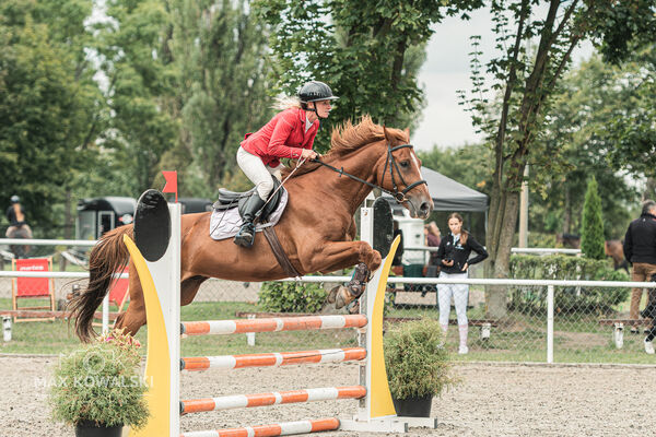 SFT i przyjaciele JUMPING SHOW - ZRiT - WRZESIEŃ 2026 Kozienice