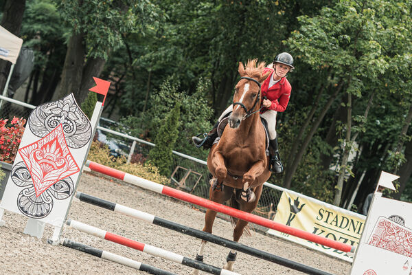 SFT i przyjaciele JUMPING SHOW - ZRiT - WRZESIEŃ 2026 Kozienice