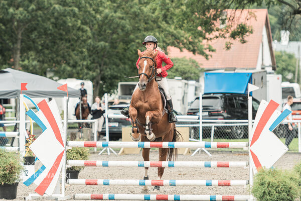 SFT i przyjaciele JUMPING SHOW - ZRiT - WRZESIEŃ 2026 Kozienice