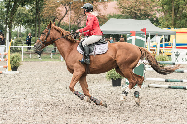 SFT i przyjaciele JUMPING SHOW - ZRiT - WRZESIEŃ 2026 Kozienice