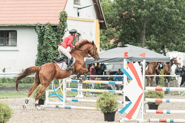SFT i przyjaciele JUMPING SHOW - ZRiT - WRZESIEŃ 2026 Kozienice