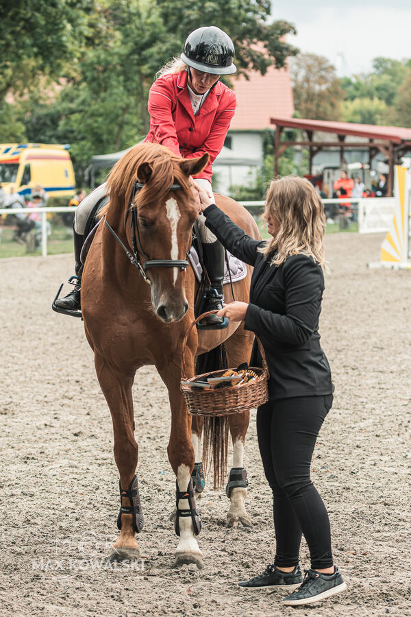 SFT i przyjaciele JUMPING SHOW - ZRiT - WRZESIEŃ 2026 Kozienice