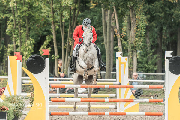 SFT i przyjaciele JUMPING SHOW - ZRiT - WRZESIEŃ 2026 Kozienice