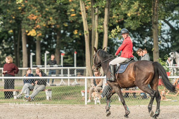 SFT i przyjaciele JUMPING SHOW - ZRiT - WRZESIEŃ 2026 Kozienice