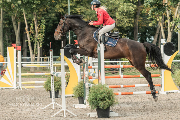 SFT i przyjaciele JUMPING SHOW - ZRiT - WRZESIEŃ 2026 Kozienice