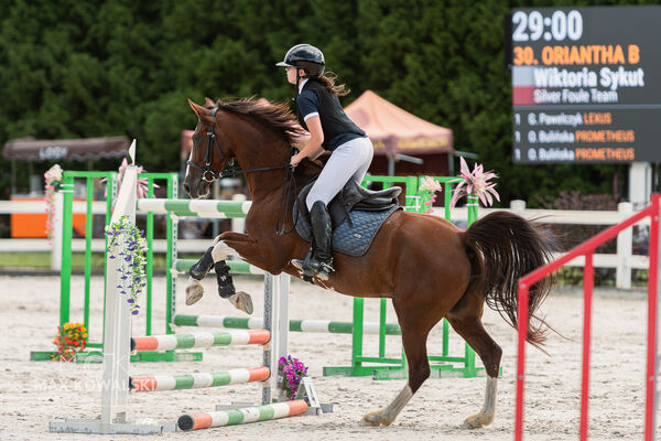 Zawody Ogólnopolskie 1* + RiT Kozłów 08 2026