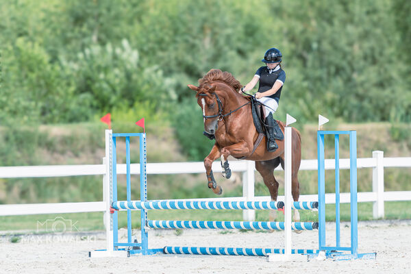 Zawody Ogólnopolskie 1* + RiT Kozłów 08 2026