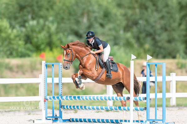 Zawody Ogólnopolskie 1* + RiT Kozłów 08 2026