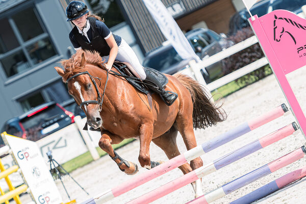 Zawody Ogólnopolskie 1* + RiT Kozłów 08 2026