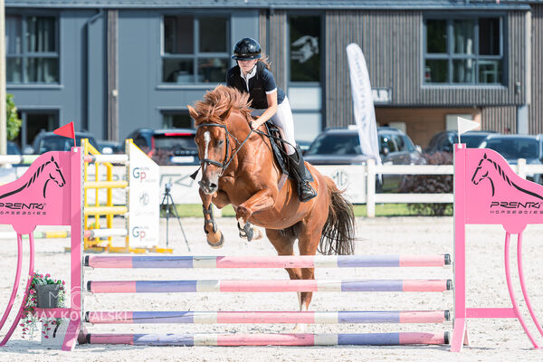 Zawody Ogólnopolskie 1* + RiT Kozłów 08 2026