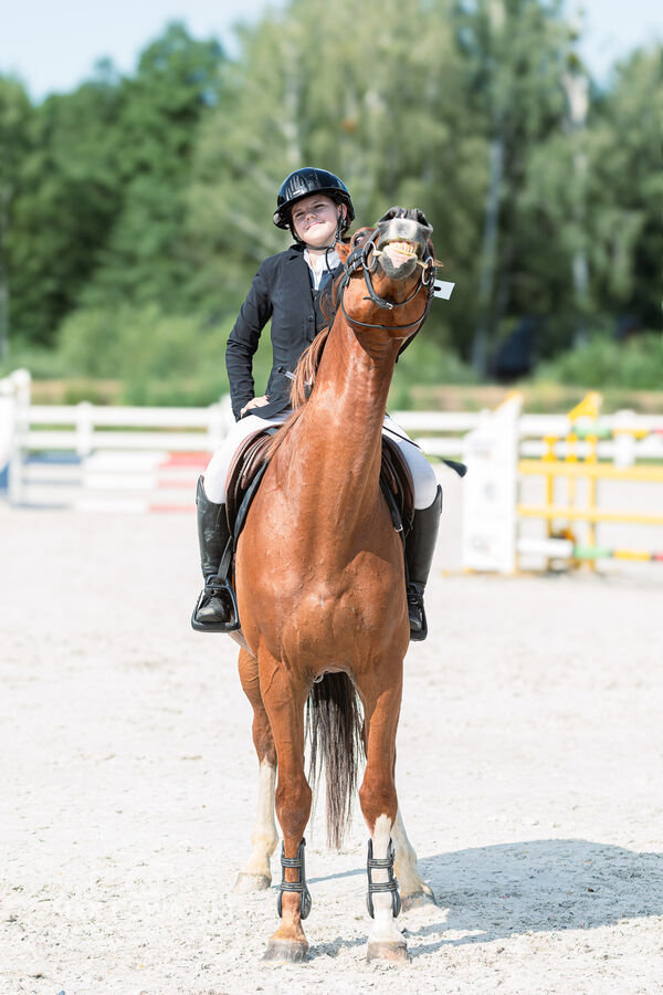 Zawody Ogólnopolskie 1* + RiT Kozłów 08 2026
