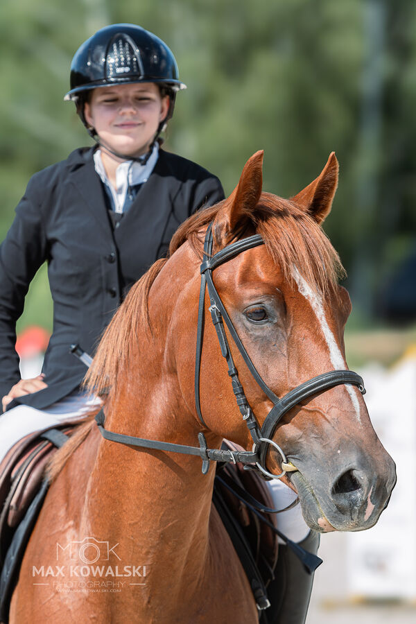 Zawody Ogólnopolskie 1* + RiT Kozłów 08 2026