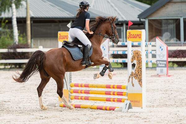 Zawody Ogólnopolskie 1* + RiT Kozłów 08 2026
