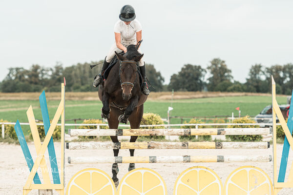 SFT i przyjaciele Mistrzostwa Woj. Lubelskiego w skokach oraz ZRiT-B Wrzesień 2026 Piker