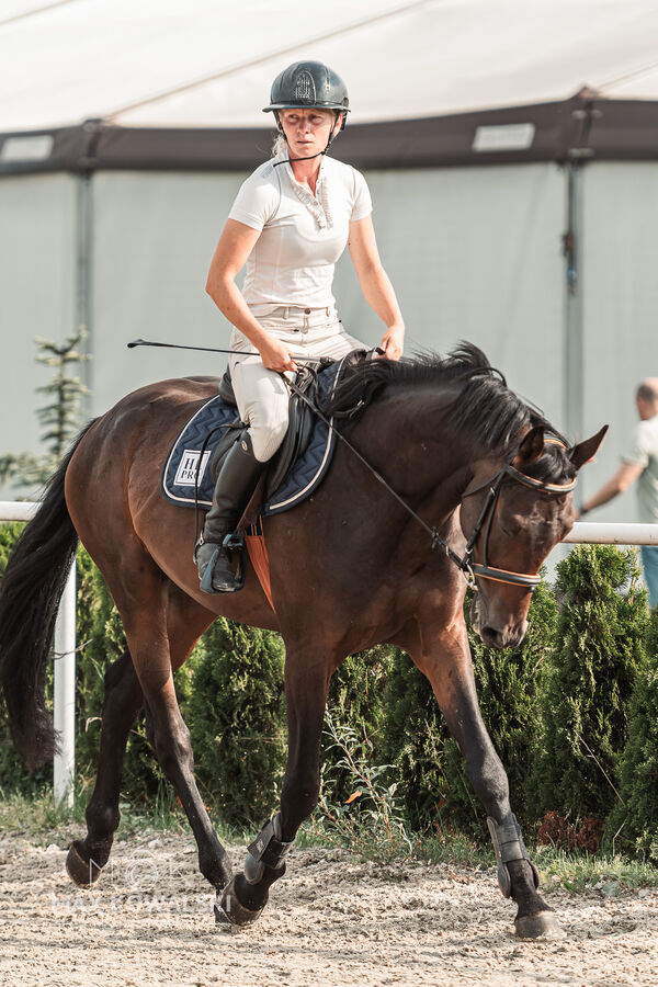 Zawody w Warce Sierpień 2026