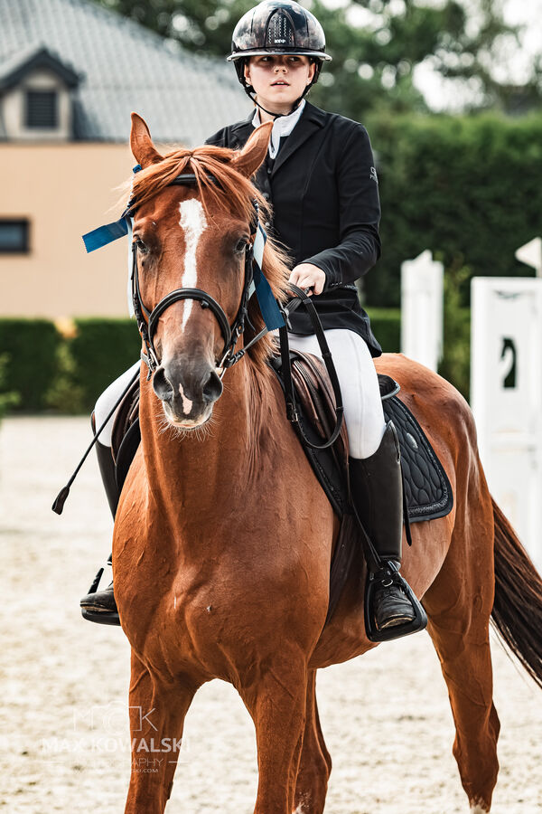 Zawody w Warce Sierpień 2026
