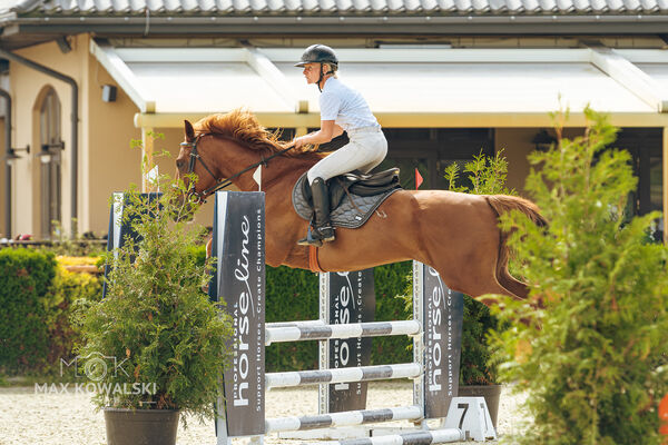 SFT i przyjaciele ZAKOŃCZENIE WAKACJI W SIELANCE ZRiT 08.2026