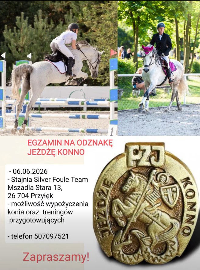 Egzamin na Odznakę Jeżdżę Konno