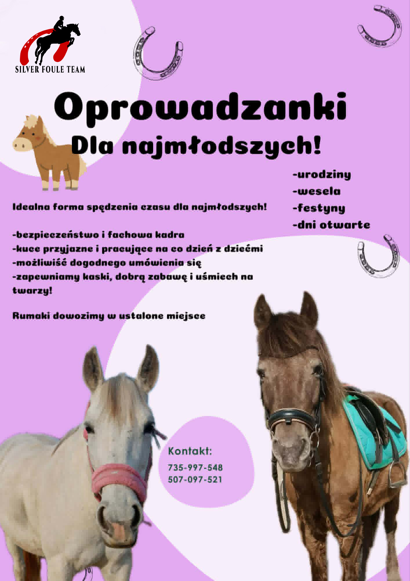 Oprowadzanki na kucykach